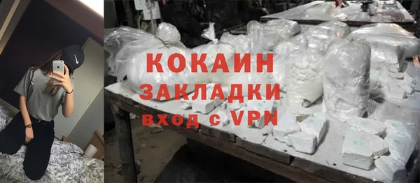 прущие грибы Козловка