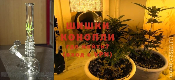 прущие грибы Козловка