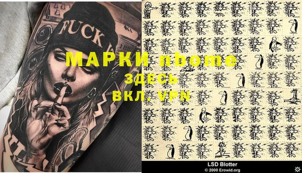 прущие грибы Козловка