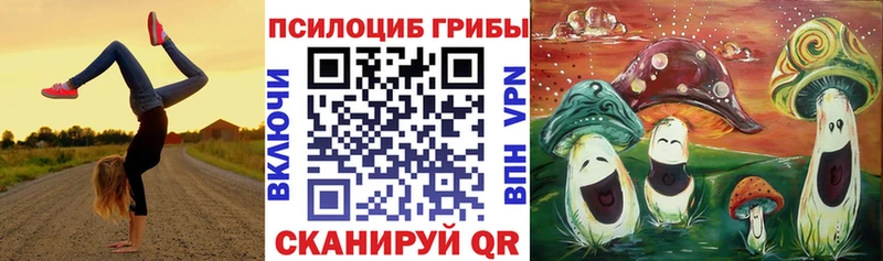 Купить закладки Макаров Псилоцибиновые грибы MAGIC MUSHROOMS