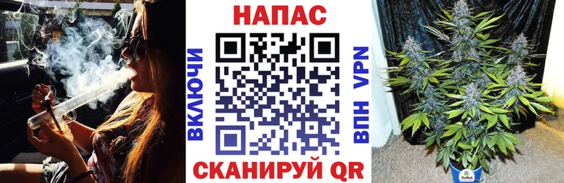 Купить закладки  Макаров  Бошки марихуана SATIVA & INDICA 